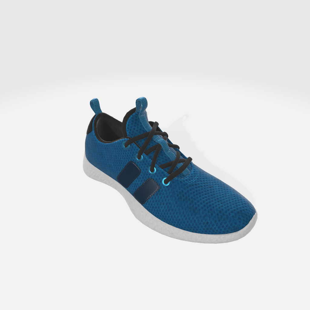 shoe